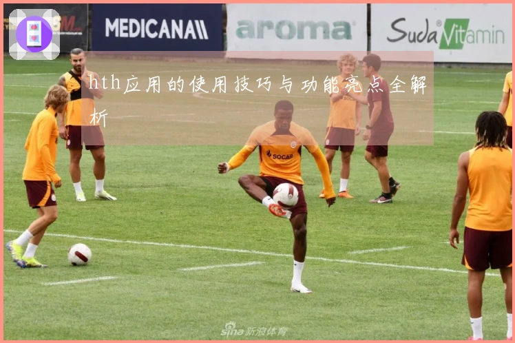 hth应用的使用技巧与功能亮点全解析